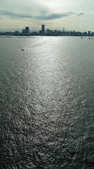 DSC02600.jpg