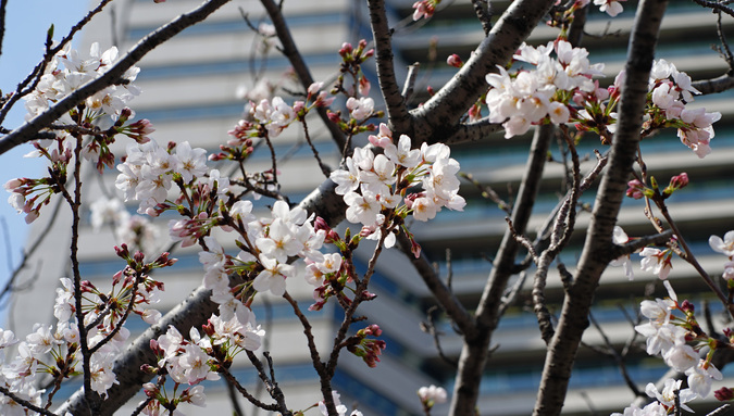DSC03448.jpg