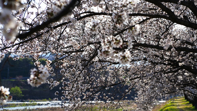 DSC04036.jpg