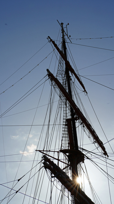 DSC07581.jpg