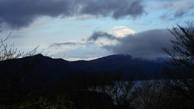 DSC07655.jpg