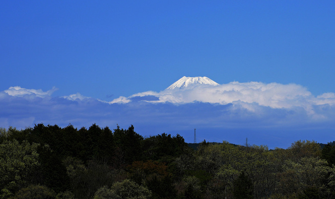 DSC07843.jpg