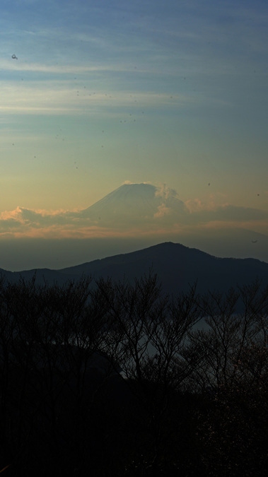DSC07888.jpg