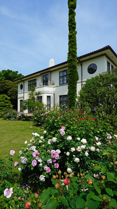 DSC08587.jpg
