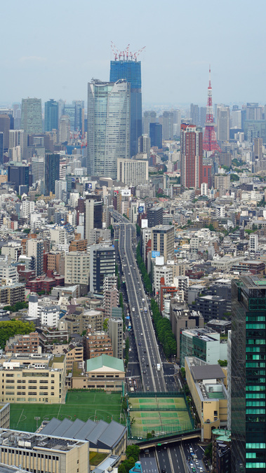 DSC08774.jpg