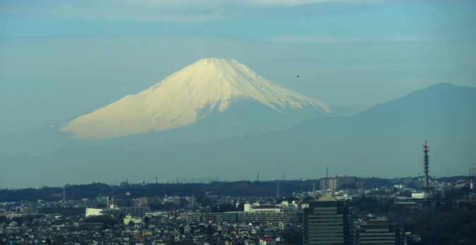 DSC08176.jpg