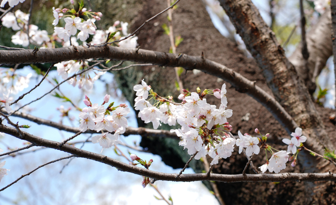 DSC08760.jpg