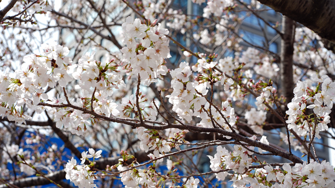 DSC08801.jpg