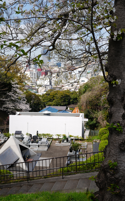 DSC09122.jpg