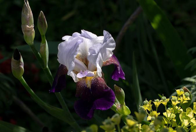 DSC09758.jpg