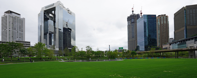 DSC09930.jpg